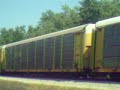 29W (Special Train)