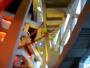 Inside the Bird\