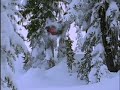 Shrediquette - Matt Beardmore's Part