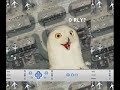 Pick me up from the airport