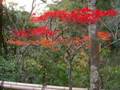 Kinkakuji Temple, Kyoto, Japan