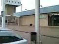 JABALI EN AEROPUERTO DE ASTURIAS