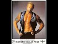 ddp 4th wcw theme (rare)