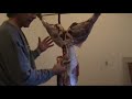 Methods of quartering your Deer Segment 2