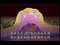 HPV????-???