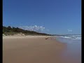 SDV_0028.MP4