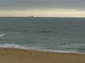 Shelly Beach (Central Coast) NSW