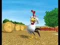 This time, the chicken tries to hide in arab countries...