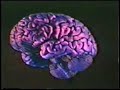 6 Change in Thinking - Systems Thinking 6 Change in Thinking - Systems Thinking
