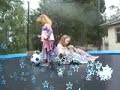 Trampoline puppies