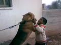 أيهم في موقف رومنسي