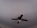 Fan Daytime One