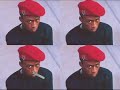 The Industry Part 33 (Professor Griff interview).flv