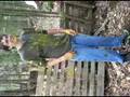 paintball