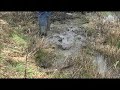 See Video