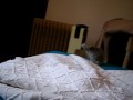 flappy encima cama vino verme.AVI