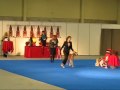 Saluki Aziz Cane Zadan, 'Potter', BIS-4 in Turku Int'l Dog Show 2009-11-29