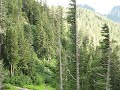 Mountain Stream at Mount Ranier