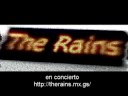 The rains - Creo en ti (en concierto)