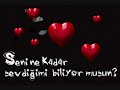 dj koray ft tarkan kaan   seviyorum seni anla