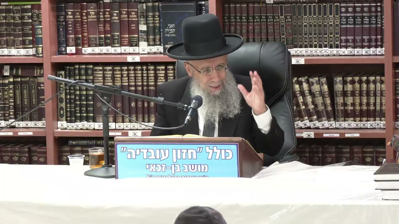 הרב גדעון בן משה :  הלכות שבת .  דין בורר .  חלק שני.