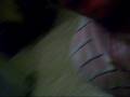 videos de te amo tarado.