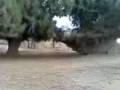 videos de alumnas de la prepa agua nueva explorando