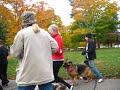 2 Making Strides Against Breast Cancer walk 2 Making Strides Against Breast Cancer walk