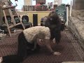 Sock Wrestling 2 Sock Wrestling 2