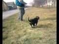 peca