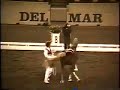Arabian Magnificent Dancing Stallion
