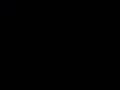 ���̓m����4