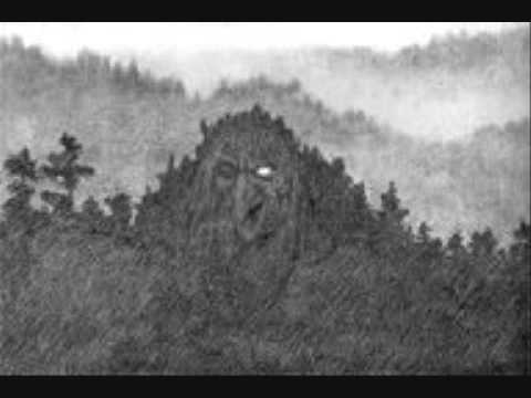 Vedi il video