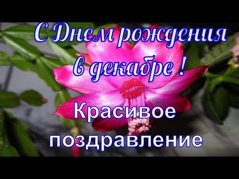 Видео поздравления с днем рождения для сестры ютуб Видео поздравления с днем рождения для сестры ютуб