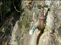 Itinerari 1 Font Hort.mp4 Itinerari 1 Font Hort.mp4