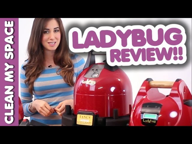 Ladybug 2300 Commercial Grade Steam Cleaner  in Other Business & Industrial in City of Toronto