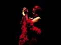 Sasa Losic - OZLEDIM (performed by Candan Ercetin)