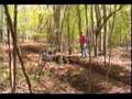 2005-Lost-Vids-from-