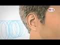 Video Describing the Process of Hearing and How it Works | MED-EL