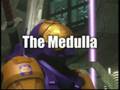 videos de Halo 3 Psychology Class Video - BRAIN BLAST