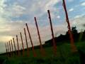 videos de Alf weaving