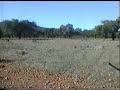 Monteria Bildor Monteria Bildor