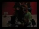 WOLF RAP WOLF RAP