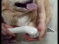 I uploaded a YouTube video -- Qik - Mobile video by Takuhito Sotome http://www.youtube.com/watch?v=7OA8BV88AIo&feature=autoshare_twitter