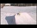 Free ski Movie Teaser NEVER LAND
