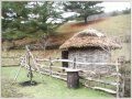 Cooperstown Farm Museum - YouTube