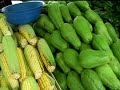 FERIA DO NMOVO OSASCO- BANCA DE LEGUMES