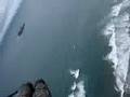 Muriwai