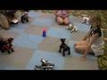 Aibo Golf