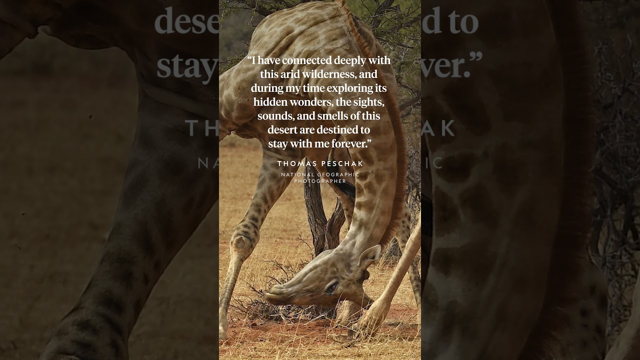 Paid content for @debeers